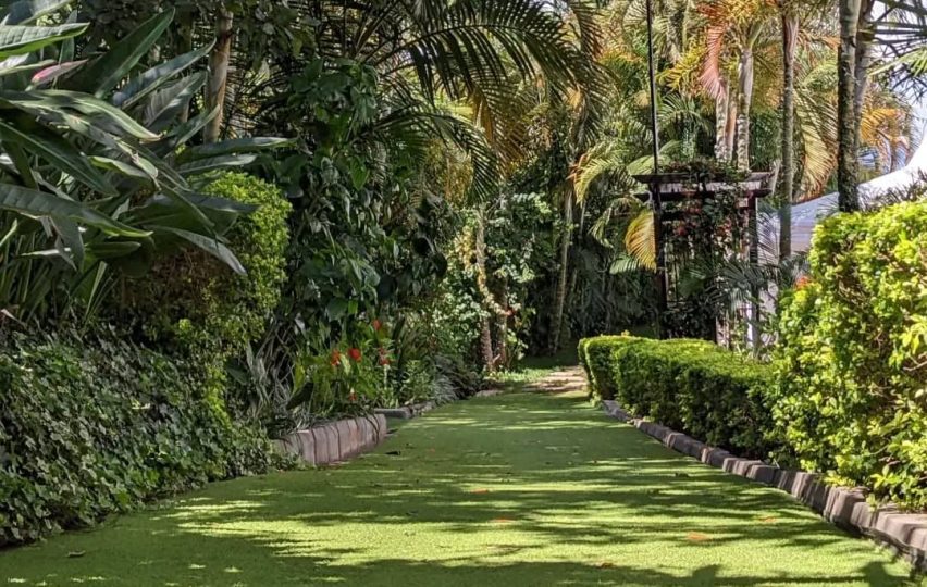 WhatsApp Image 2025-07-02 at 11.39.09 AM (1)