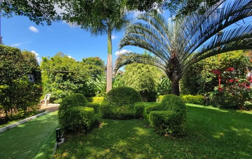 WhatsApp Image 2025-07-02 at 11.39.10 AM (1)